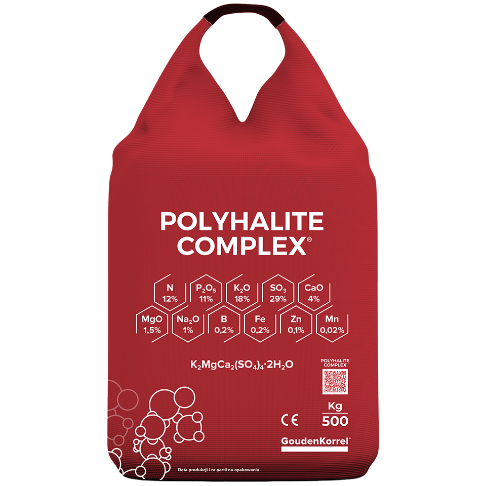 Polyhalite Complex - foto